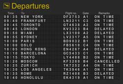 Flight Number